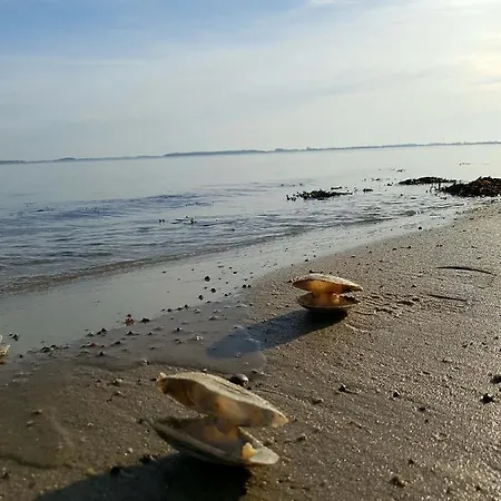 Strandappartement Steinberghaff 